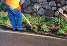 I Giovani Democratici “Miracolo pulizia a Cetraro”