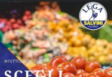 “Squallidi simboli Lega sui manifesti della Regione Calabria” È Polemica