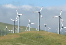 Blitz, misura cautelare per un sindaco Calabrese