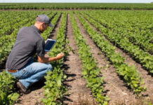 Dalla Regione Calabria oltre 6 Milioni per gli imprenditori agricoli