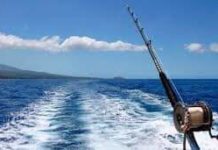 Fuscaldo, autorizzata la pesca sportiva