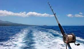 FB_IMG_1589014526359