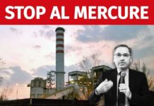 “Sospendere l’esercizio della centrale a biomasse del Mercure”