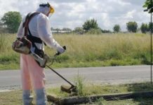 Fuscaldo, verde pubblico, la minoranza attacca il sindaco “Ecco la verità”