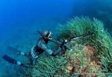 9 associazioni contro la Pesca illegale nei fondali del Tirreno Cosentino