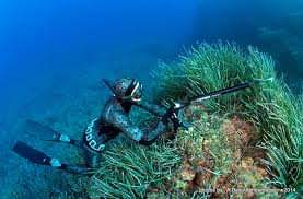 FB_IMG_1590654566872