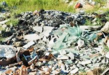 MillennialsArts VS EcoMostri di San Lucido -Video-