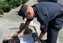 San Nicola Arcella, il sindaco “Nessun inquinamento”