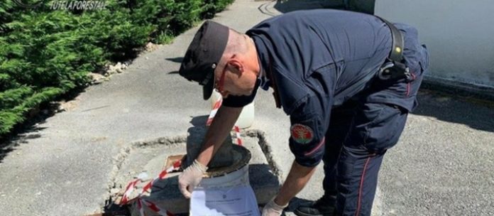 Screenshot_20200520-081729_Facebook