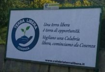 Elezioni Amministrative Cosenza 2021: Inizio delle danze