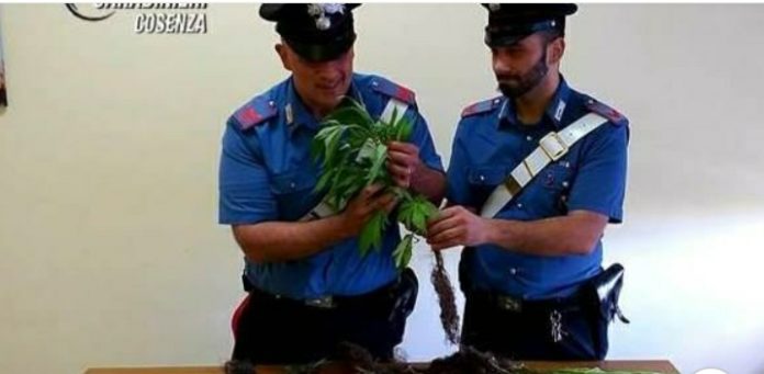 Screenshot_20200530-142614_Facebook