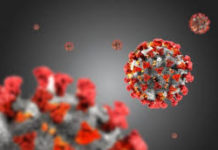 Coronavirus, il bollettino della Regione Calabria