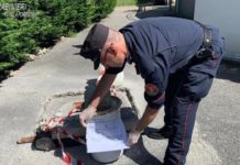 San Nicola Arcella, sequestrato uno scarico del depuratore comunale