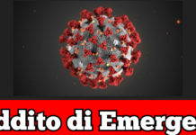 -Nasce il reddito d’emergenza-