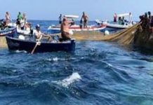 PESCA TONNO ROSSO: CRESCE LA QUOTA RISERVATA AI PESCATORI CALABRESI