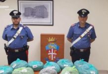 27enne arrestato con dieci chili di Marijuana