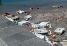 Cetraro, preoccupa il degrado del Porto Peschereccio