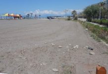 Una nuova devastazione di Gigli di Mare sull’arenile di Praia a Mare