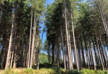 PARCHI AVVENTURA CALABRESI “FATECI RIAPRIRE E PRIMA DELLA DATA DEL 15 GIUGNO”