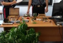 Producevano e spacciavano droga, 4 arresti nel cosentino