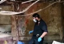 Arsenale di armi trovato in Aspromonte