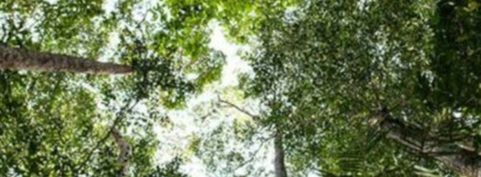 inCollage_20200626_122940880