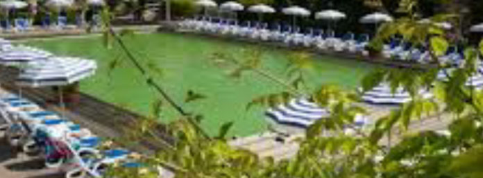 inCollage_20200629_124732171