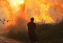 Lotta agli incendi: Convenzione tra Vigili del Fuoco e Calabria Verde