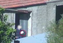 Ndrangheta, Cosenza, 35 arresti nel clan Perna-Pranno