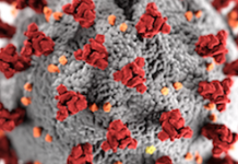 Coronavirus, il bollettino della Regione Calabria