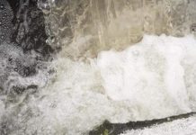 Depuratori Tirreno Cosentino, esposto alla Procura di Paola