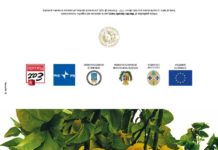 Grandi nomi per il BergaFest 2020