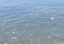 Scalea, prossimità Torre Talao, mare calmo, bollicine presenti