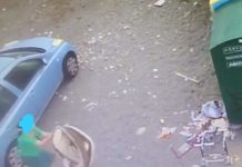 Paola, altri sporcaccioni filmati e sanzionati -FOTO-