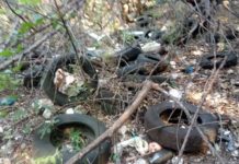 San Nicola Arcella Una discarica di copertoni a poca distanza dalla costa