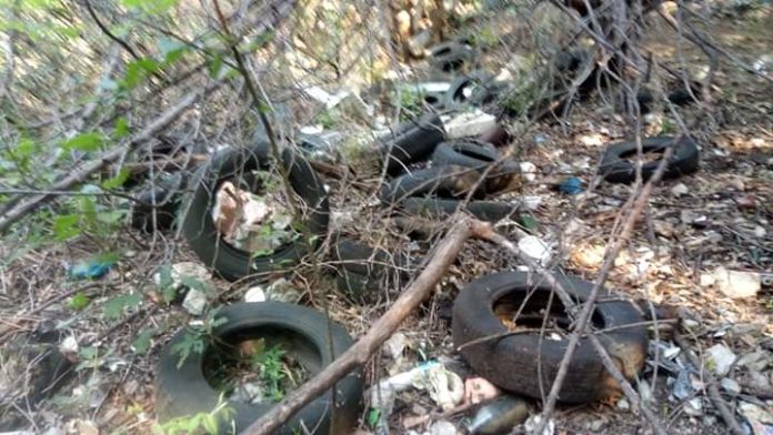 FB_IMG_1594031284586