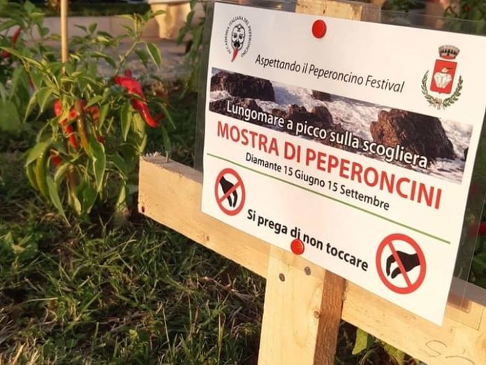 FB_IMG_1594730150918