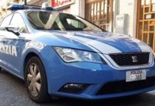 Un toro imbizzarrito si aggirava nel quartiere San Filippo di Pellaro