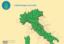 SPIGHE VERDI 2020 SANTA MARIA DEL CEDRO TRA LE NEW ENTRY