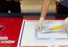 Tenta estorsione armato di coltello