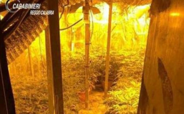 Screenshot_20200717-142218_Facebook