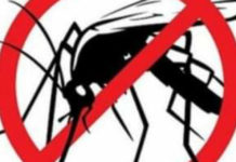 Paola, alle 23:00 disinfestazione adulticida contro zanzare ed altri insetti