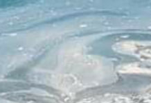 “Allarme per la qualità delle acque di balneazione: Appello a tutte le Istituzioni”