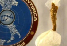 Spaccio di cocaina, arrestati due giovani coniugi