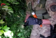 Ndrangheta, colpo al clan Labate: 6 arresti