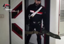 Favorivano la latitanza dei boss della ‘ndrangheta: 14 arresti