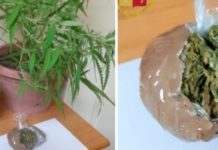 Arrestati due coniugi in provincia di Cosenza, producevano marijuana