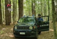 Droga: in casa cocaina e marijuana per un valore di 60mila euro