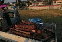 Diamante, Magorno “Niente falò sulla spiaggia”