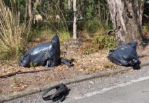Scalea-Santa Domenica Talao, rifiuti per strada “Controlli carenti”